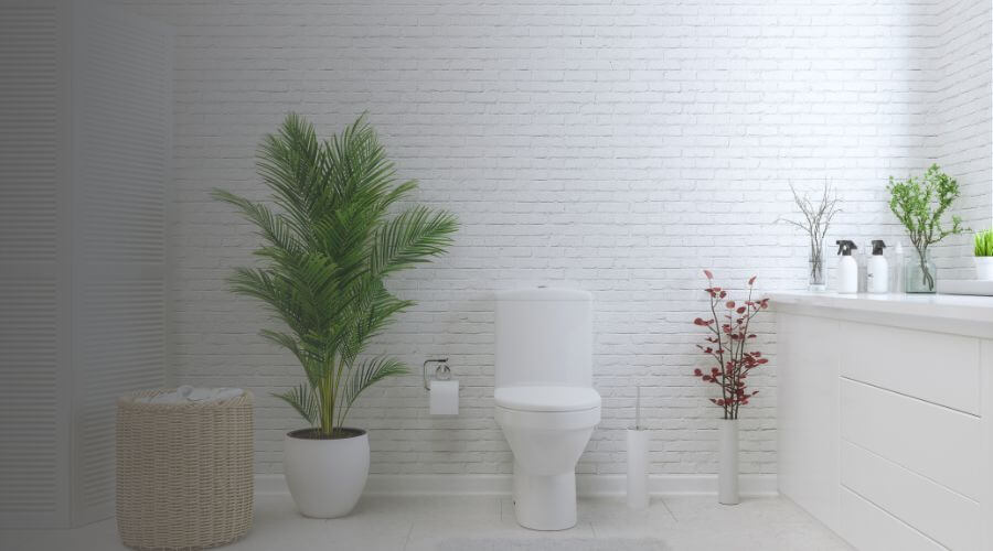Why choose Santa Maria Porta Potty Rental for event porta potty rental in Santa Maria,ca